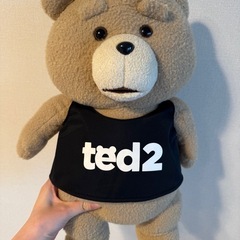 Ted Bearぬいぐるみ