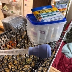 60cm 水槽セット＋金魚（大切に育ててくれる方への画像