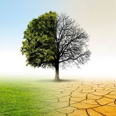 【なんで毎回こうなるの？】 家族・職場の「あの人」にイライ…