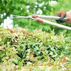 庭木の剪定のお手伝いします。