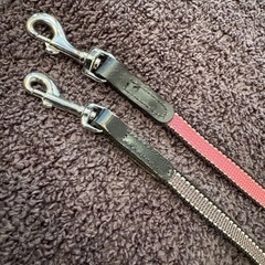 フレキシリード　2本の画像