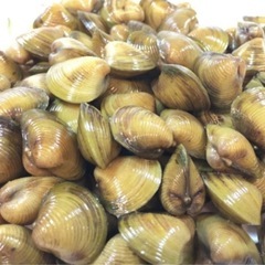 黄金しじみ  台湾シジミ (本日限定)5kg