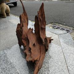 ★新入荷 流木 天然流木の画像