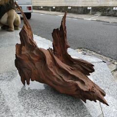 ★新入荷 流木 天然流木の画像