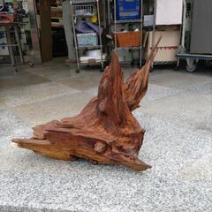 ★新入荷 流木 天然流木