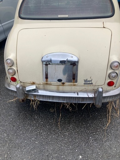 光岡ビュート売り切れ‼️