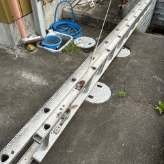 日付限定ハシゴ