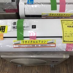 エアコン　SHARP　AY-R22TD　2024年製【ジャングル...
