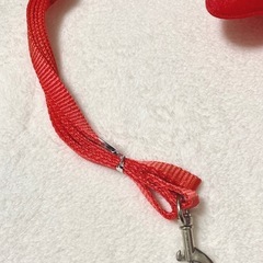 天使の翼 ハーネス リードセット Sサイズ 犬・猫・うさぎなど 小動物用 小型犬 長さ調節可の画像
