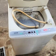 東芝 TOSHIBA 全自動洗濯機 AW-C50X(HS)