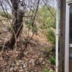 古家建物付き売り土地 - 土地販売/土地売買