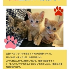 急募！！よろしくお願いします。
