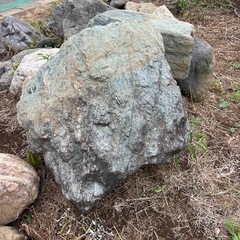 庭石、差し上げますの画像