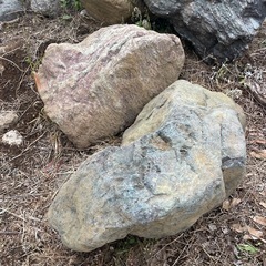 庭石、差し上げますの画像