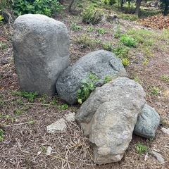 庭石、差し上げますの画像