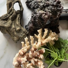 水槽アクアリウム用品の画像