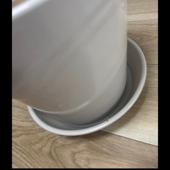 陶器　鉢植えの画像