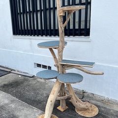 キャットタワーの画像