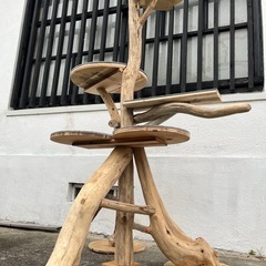 キャットタワーの画像