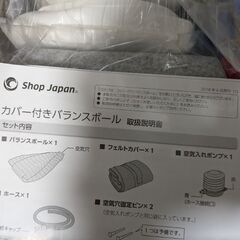 Shop Japan (ショップジャパン) バランスボール/カバー付き 【 55cm 】 ライトグレーの画像