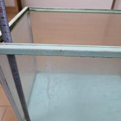 水槽の画像