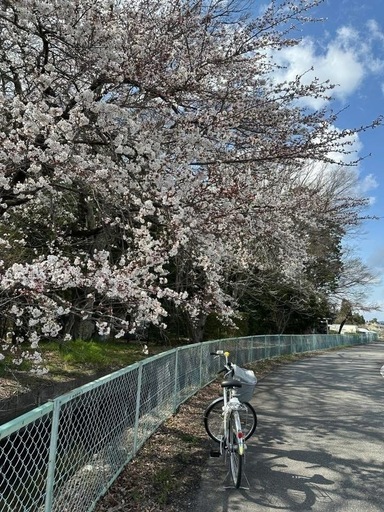 電動自転車panasonic