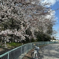 電動自転車panasonic