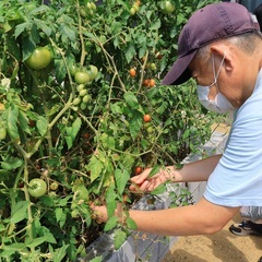 農園作業が得意な方、力を貸してください ～やさしい畑づくり、一緒に始めませんか？～の画像