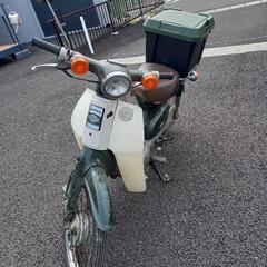 カブ　50　の画像