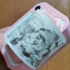 妙にハイテクなお子様むけカメラの画像
