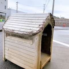 犬小屋　24hご自由にどうぞ　読谷村　新垣ぜんざい