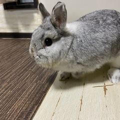 決まりました！