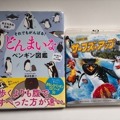 どんまいなペンギン図鑑とペンギン映画「サーフズ・アップ」ブルーレイ セットの画像