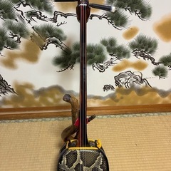 沖縄三線　島黒木！島クルチ！　本蛇皮一枚張り！170000円！③