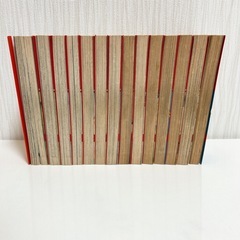 I'll アイル 全巻セット １～14巻の画像