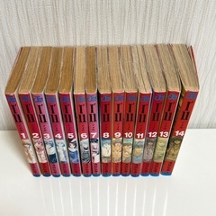 I'll アイル 全巻セット １～14巻の画像