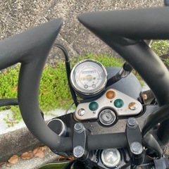 グラストラッカーfi
の画像