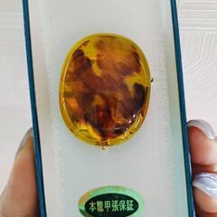 ★美品❀本鼈甲 スカーフクリップの画像