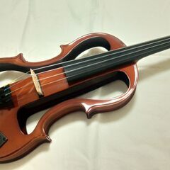 Carlo giordano エレキバイオリン EV-202 カ...