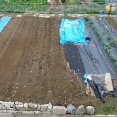 農園作業が得意な方、力を貸してください ～やさしい畑づくり、一緒に始めませんか？～の画像