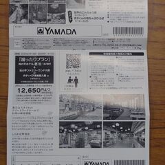 池の台ファミリーランド特別優待券（新品未使用）  　他の800円以上の商品とまとめ買いの場合、この商品は無料にします　希望者には3枚目以降の商品もお付けできます     の画像