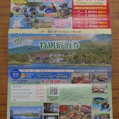 池の台ファミリーランド特別優待券（新品未使用）  　他の800円...