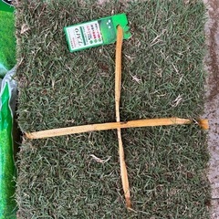 高麗芝　TM9 目土　目砂セット  (お取引中)
の画像