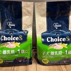 ファーストチョイス[ セット売り ]