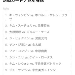 5月31日土曜日　格闘技　ライジン韓国大会
