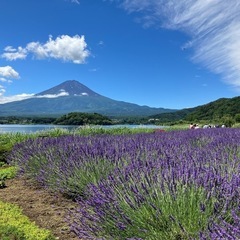 ハイキングやキャンプなどアウトドア全般不定期活動仲間募集！6月2...