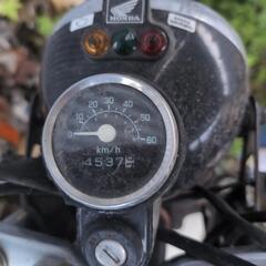 エイプ50の画像