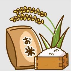 お米を探しています