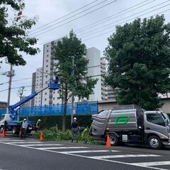 造園作業員募集♪経験者に限るの画像