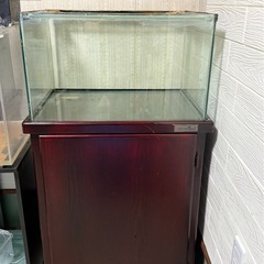 マーフィード水槽台セット